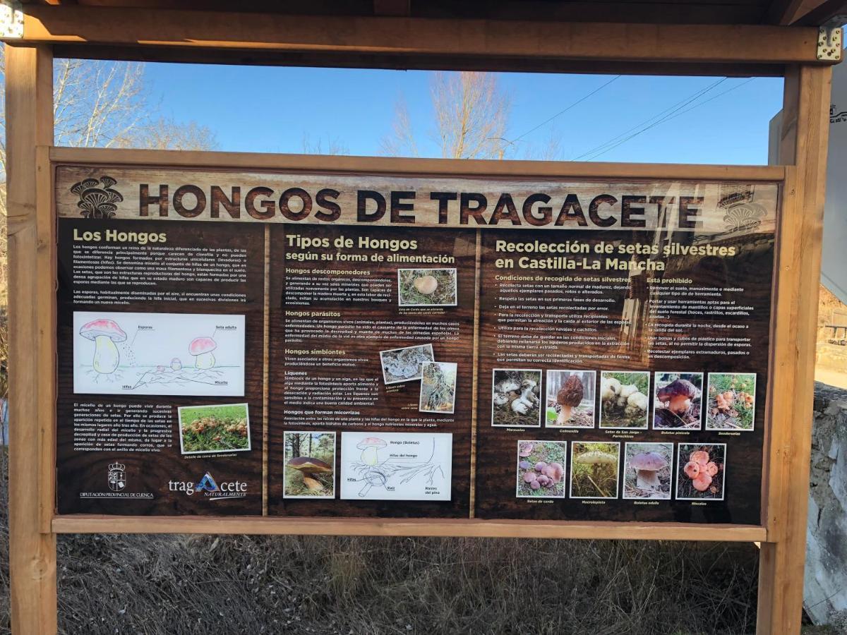 Rural El Morenal Holiday home Tragacete